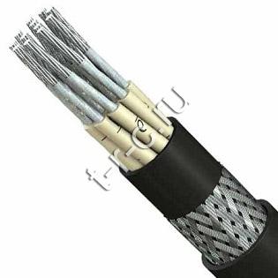 ������ ������� ����