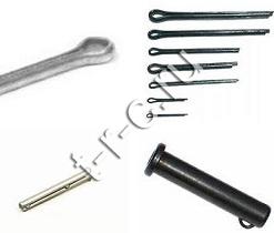 ������ ���������